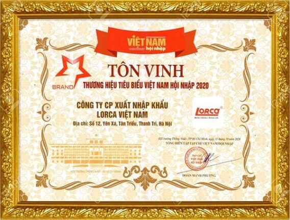 Danh hiệu và giải thưởng 6 Thương Hiệu Việt Nam Tiêu Biểu 2020